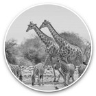 2 x Vinyl Stickers 30cm (bw) - Giraffe Zebra Wild Animals Africa  #42941