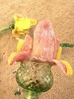 Foto 15 di 21