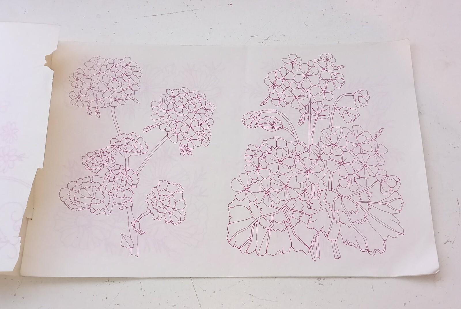 Picture 3 of 12