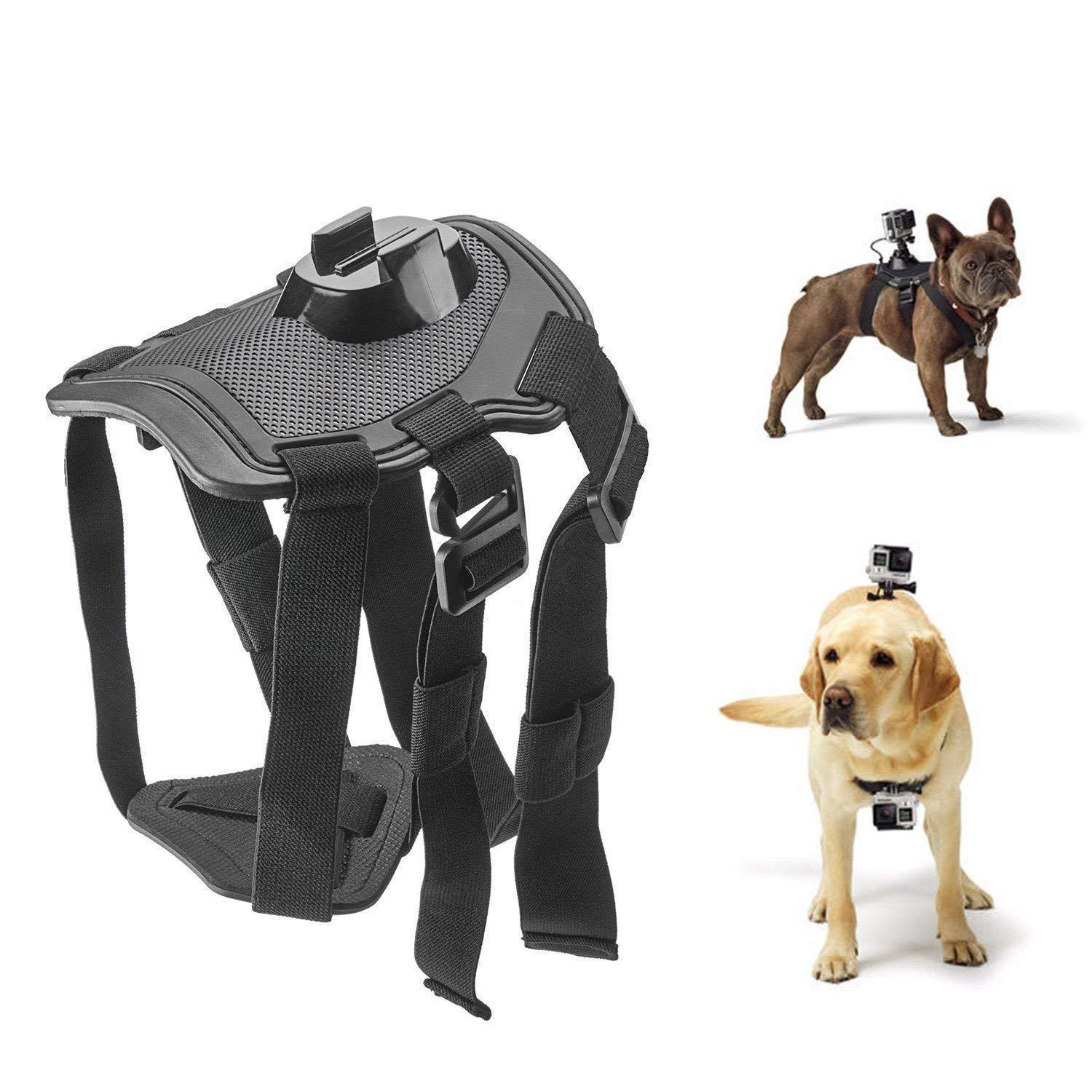 Outdoor Pet Supply Dog Harness Sport Action Camera Elastic Back Chest Strap Belt