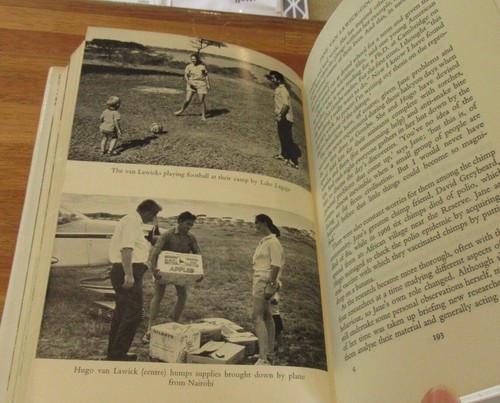 The ADVENTURERS: 4 Profiles Contemp Travellers ~ Timothy GREEN HbDj  in MELB - Bild 19 von 23