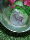 Bild 7 von 8
