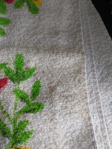 Rare Vintage 1950's? Disney Snow White Cannon Bath Towel - Picture 5 of 7