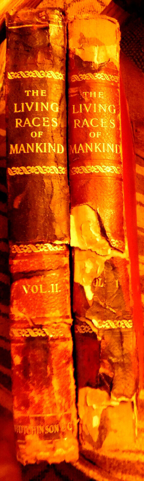 Picture 15 of 15