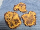 3 Burl Wood Cut Offs Wall Decor Rustic Cabin