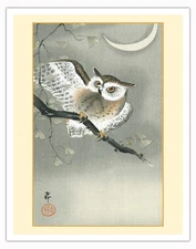 Long-Eared Owl in Ginkgo by Ohara Koson 1900s