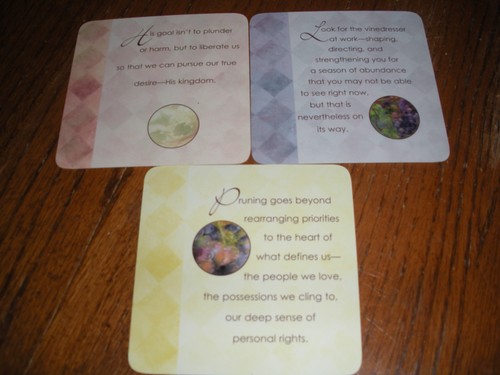 Secrets of The Vine Cards by Bruce Wilkinson - Picture 2 of 2