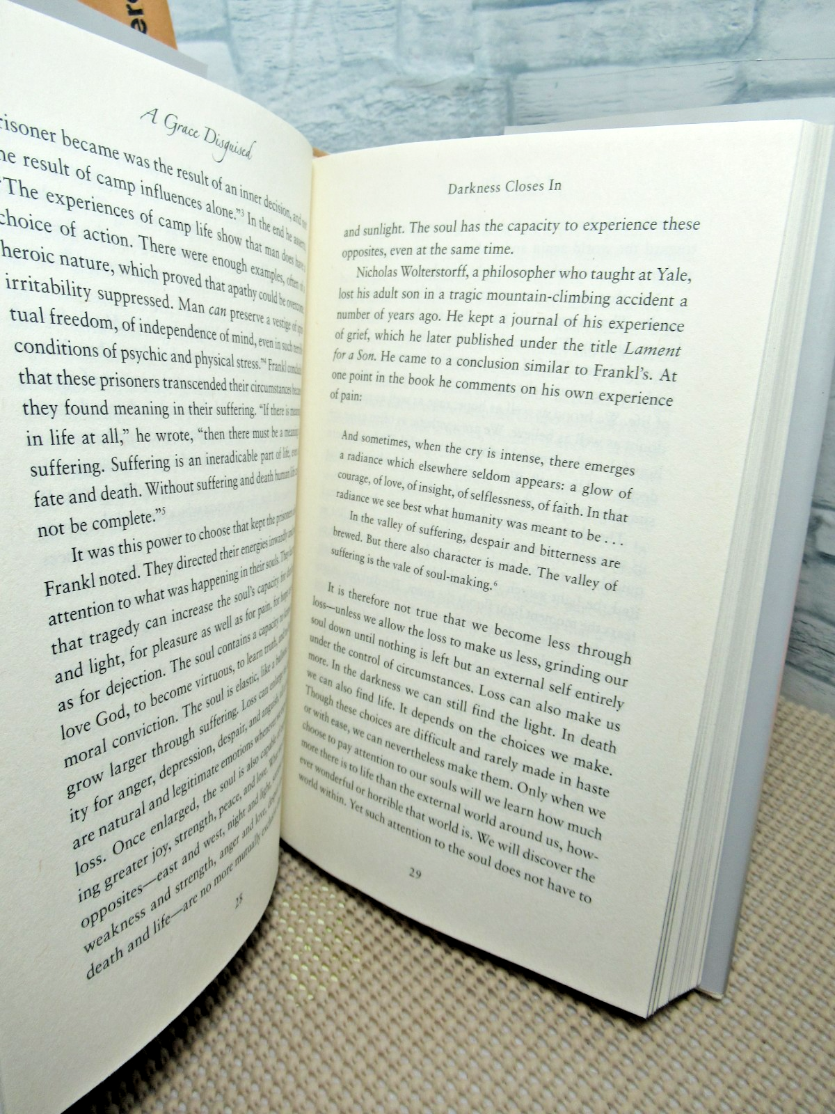Picture 5 of 5