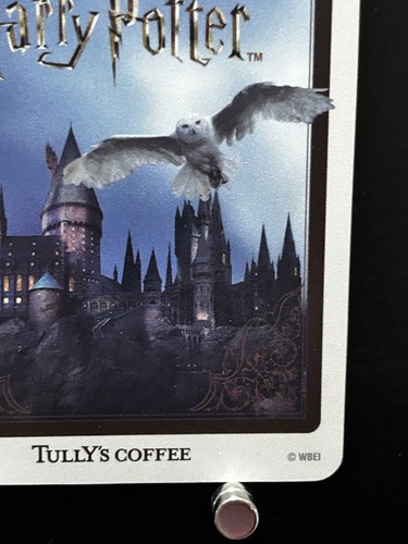 Gregory Goyle Tullys Kaffee Harry Potter Spielkarten Japanisch JAPAN Selten - Bild 10 von 10