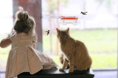 Cuboid - Hummingbird Feeder 2 in 1 - Picture 6 of 6