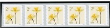 US 5903 Daffodils 2c - PNC of 5 - MNH - 2024 - B11111 - No BN