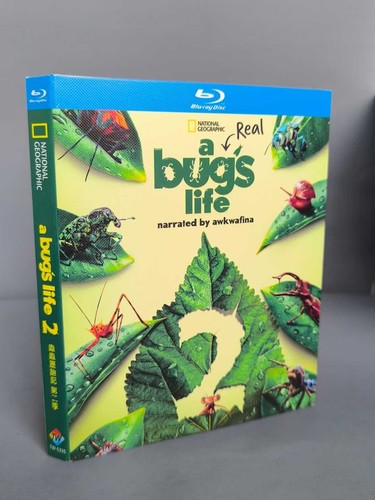 A Real Bug's Life Season 2 (2025) 1-Disc New Box Set Sealed - 第 1/1 張圖片