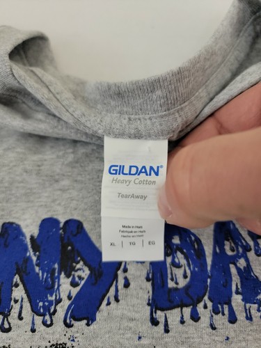 The Soft Spots , Rainy Daze Ambient Indie Pop Rock Band Gray T shirt Sz XL NEW - Picture 3 of 7