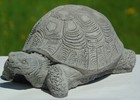 Picture 1 of 5