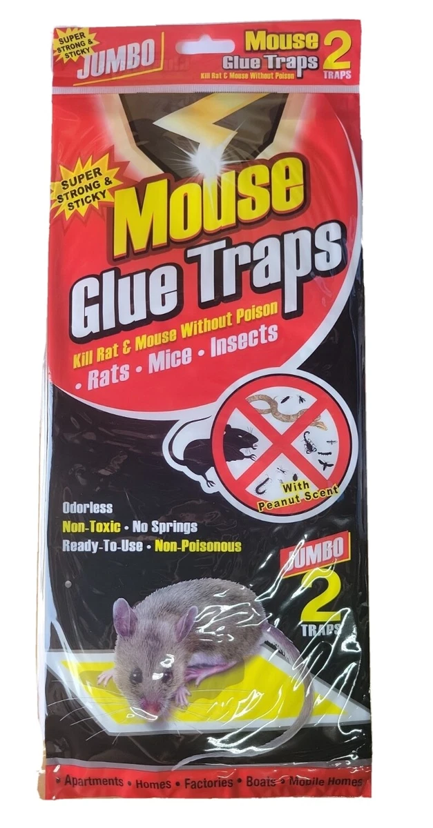 3 Pack) 12 Traps Mouse Trap Glue Super Sticky Kill Rat Without Poison