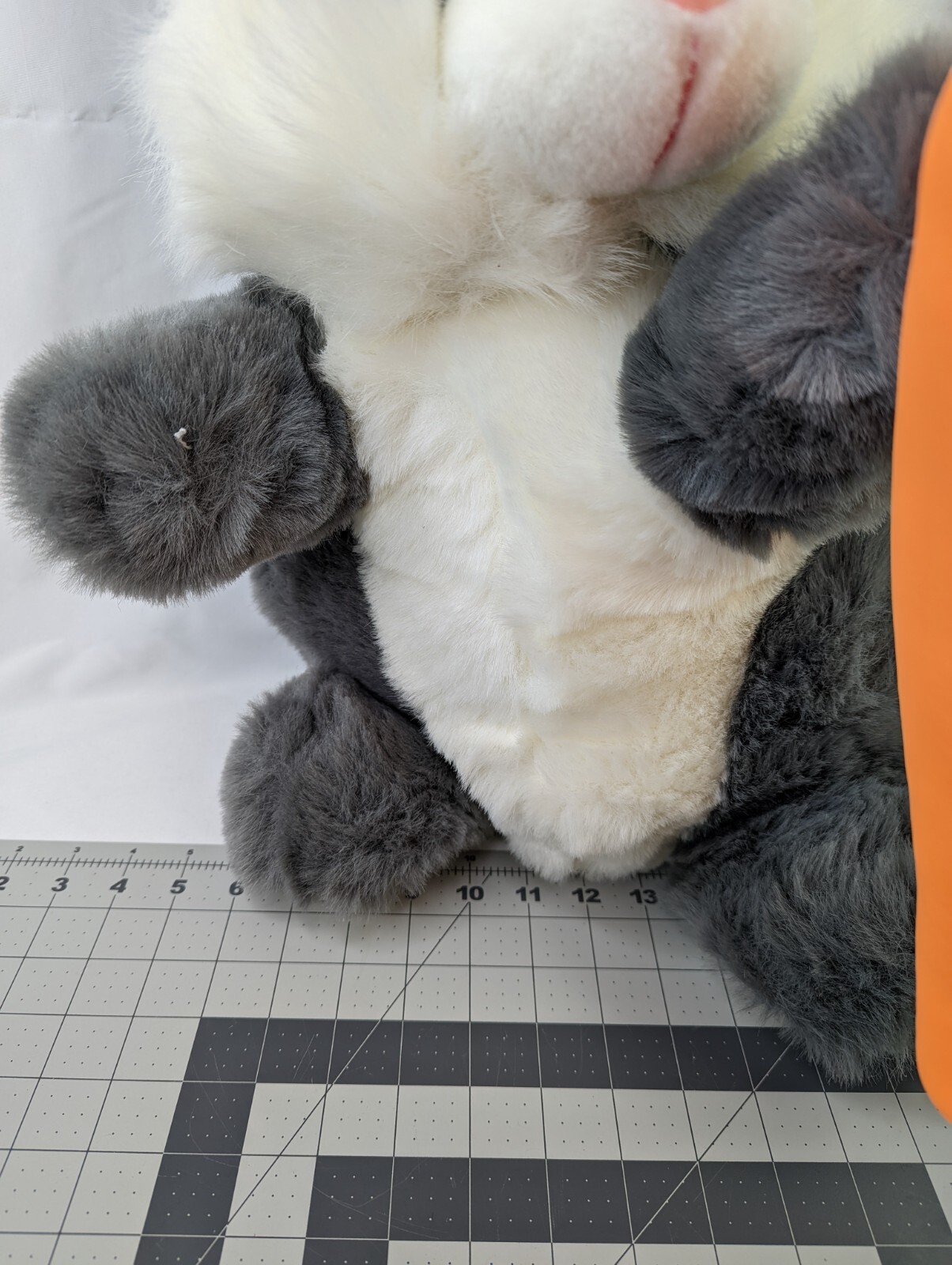 Bild 6 von 12