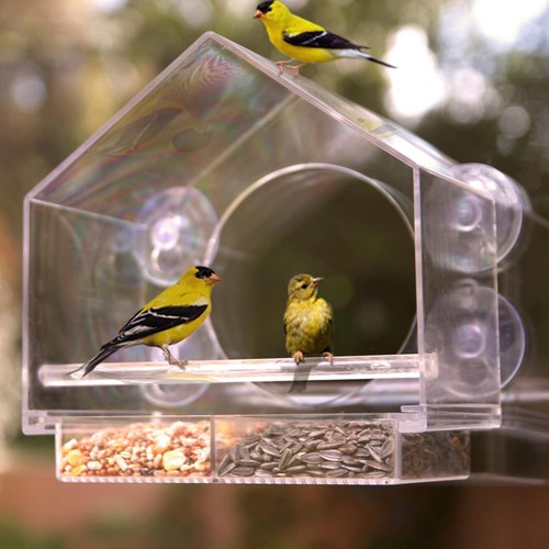 Window Bird Feeder 2-Pack - Squirrel-Proof Transparent Acrylic for Bird Watching - Picture 8 of 9