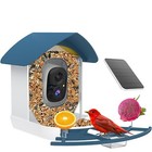 Platform Bird Feeder