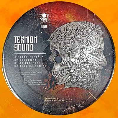 Ternion Sound - Know Thyself  (12'', RP, Fla) (Mint (M)) - 4064785078