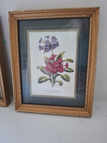 Framed Floral Prints Maureen Roberts x2 Gold Tone Vintage 7" x 5.5" - Picture 6 of 13