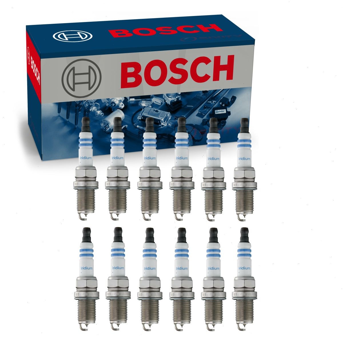 12 pc Bosch Double Iridium Spark Plugs for 1980 Jaguar XJS 5.3L V12 Ignition eo