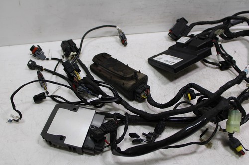 14-15 DUCATI 899 PANIGALE HARNESS MAIN ENGINE WIRING MOTOR WIRE LOOM ECU CDI - Picture 6 of 8