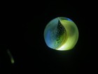 Bild 5 von 11