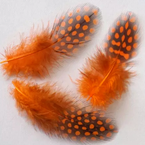 50pcs Guinea Fowl Spotted 5-10cm Feathers 12 Colours DIY Art Craft Party Decor - Picture 15 of 23