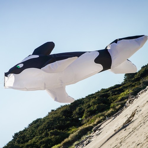 78 inch  Orca Fishsock from In The Breeze 5231 - Picture 1 of 2