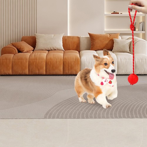 Pet Dog Elastic Solid Rubber Rope Ball Chew Toy For Training Catch Aggressive - 第 2/11 張圖片