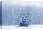 Bild 31 von 32
