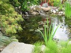 Picture 17 of 17