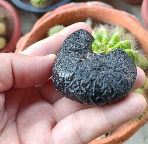 ANDA TEKTITE METEORITES rarest rock natural, Called Anda “Type”tektites 142.56 g - Bild 5 von 6