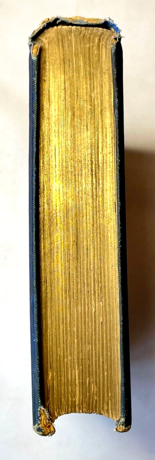 Picture 8 of 12