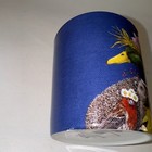 Bild 6 von 15