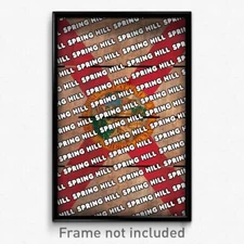 Spring Hill Florida Poster (FL City Souvenir 11x17 Town Print)