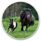 2 x Vinyl Stickers 25cm - Shetland Pony Foal Horse Kids Girls Cool Gift #24183