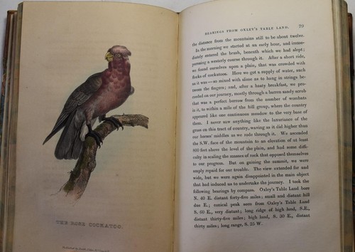 TWO EXPEDITIONS INTO THE INTERIOR OF SOUTHERN AUSTRALIA, Sturt, 1833 Vol. 1. - Picture 5 of 9