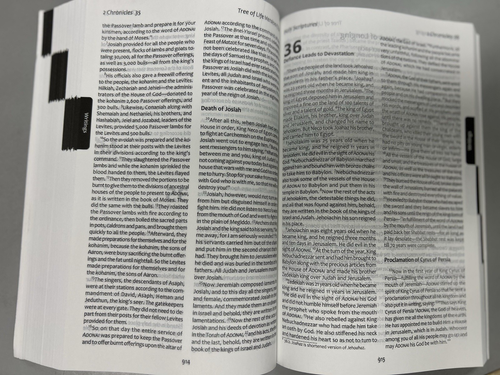 Écritures Saintes Version Arbre de Vie (2021, Livre de Poche) Bible Messianique - Photo 8/11