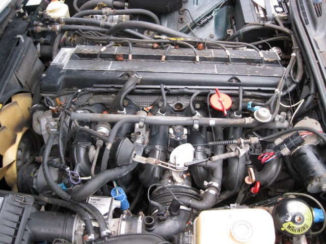 Picture 9 of 12