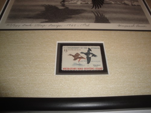 1969 Framed Federal Duck Stamp Print Scoter Ducks Maynard Reece RARE! - Picture 4 of 6