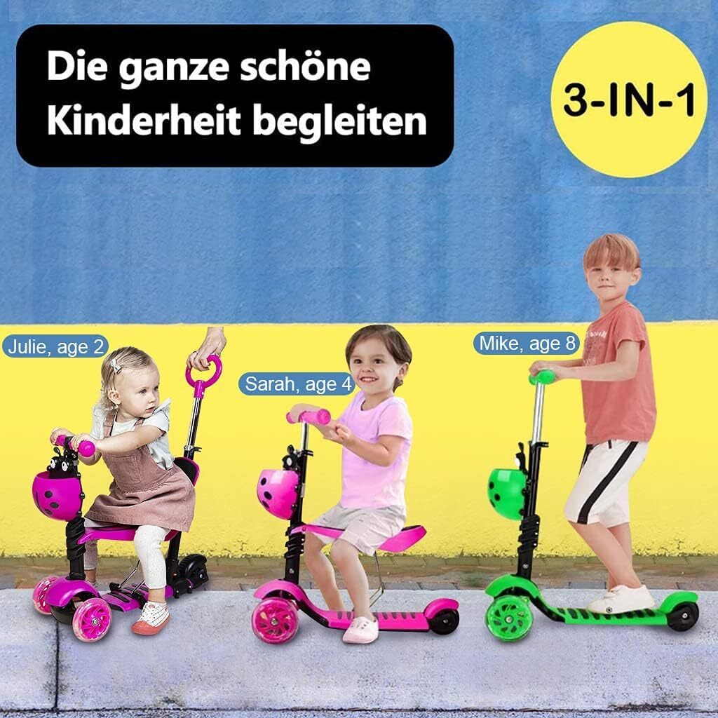 Bild 5 von 42