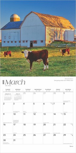 Barns | 2025 12x24" Monthly Square Wall Calendar | Plastic-Free - Picture 3 of 9
