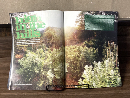 High Times Magazine February 2009 - Cali’s Outdoor Mega Gardens - Phish Is Back - Picture 7 of 17