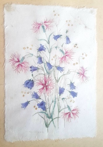 Orig. Zeichnung Paula Henneberg Sudetenland Böhmen Blüten c1918 ca.33x24cm  -   - Bild 1 von 5