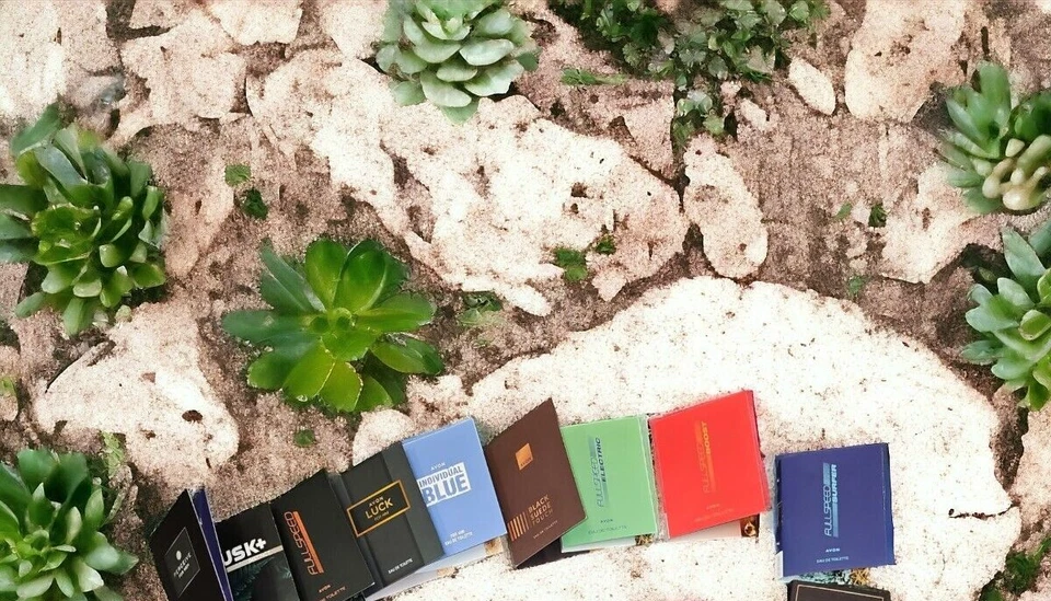 Avon Proben Organizer gemischte 14x AKTUELLE Proben Herren testen +Katalog - Bild 2 von 4