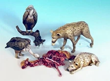 1/35 Scale Wildlife Scavenger Diorama Set - Hyenas, Vultures & Carcass Model Kit