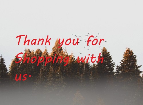 ARABIAN HORSE WESTERN SADDLE PLEASURE TOOLED LEATHER TRAIL TACK SET 15 16 17 18 - Bild 10 von 10