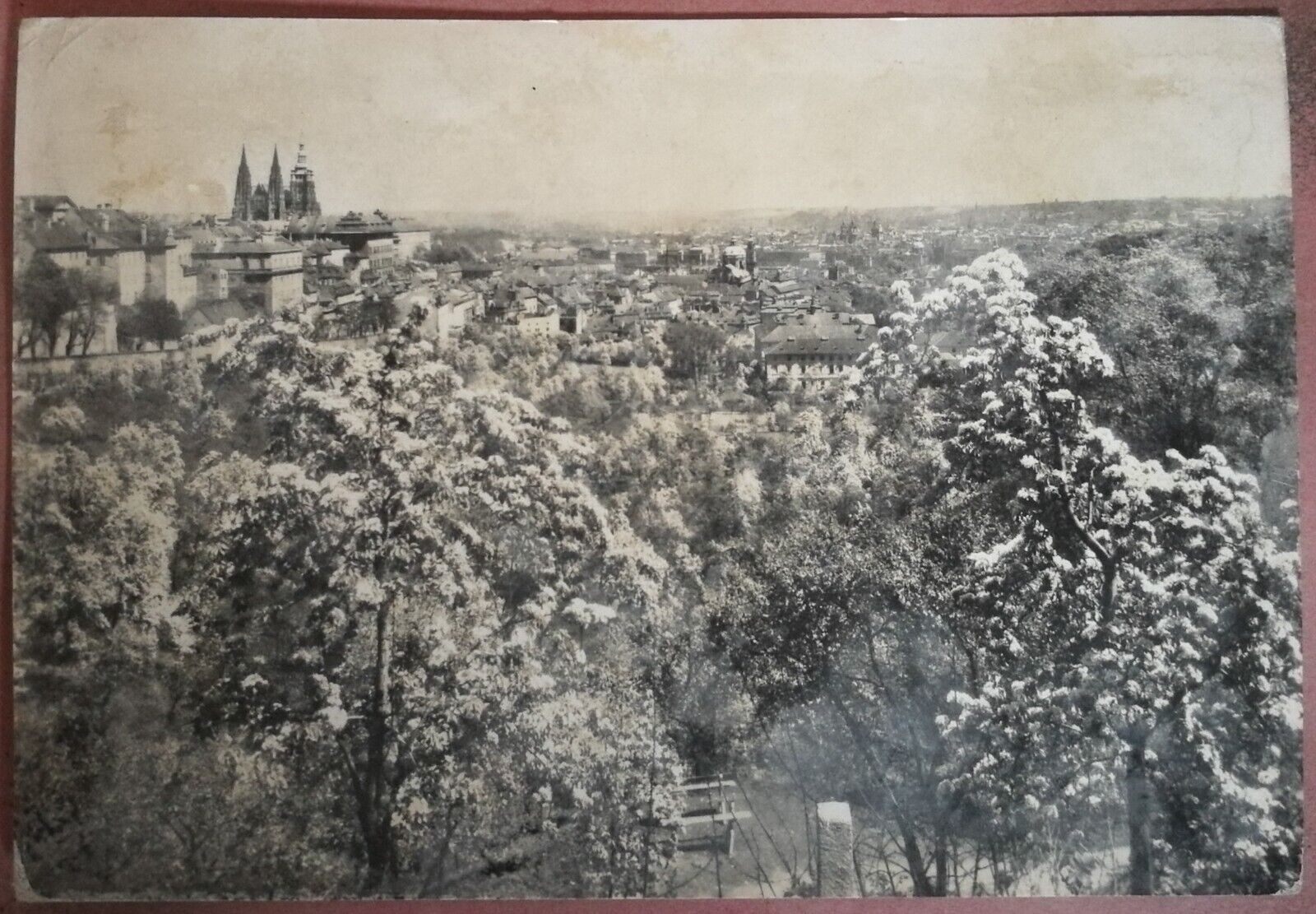 Foto 1 di 1