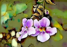 Floral Fine Art Print, Botanical Wall Decor, Home Gallery Artwork, Elegant Flowe